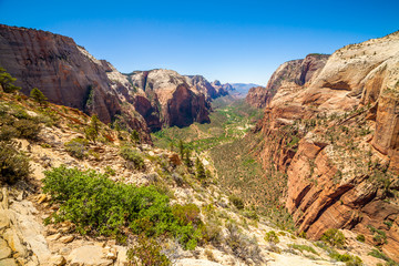Fototapeta na wymiar Beautiful view of canyon in Zion National Park.