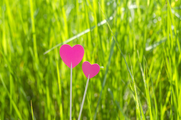 Two pink hearts with grass background