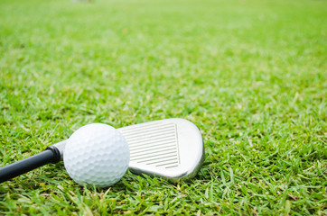 golf ball on green grass