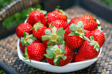 Bowl with strawberries