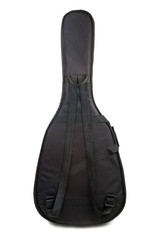 Guitar case