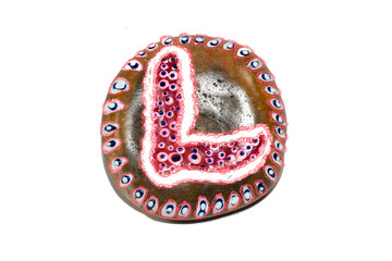 Alphabet painted on stones - letter L