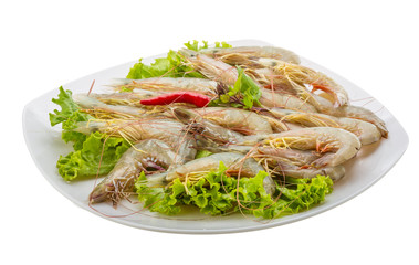 Raw tiger shrimps