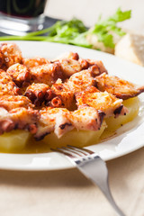 Spanish octopus