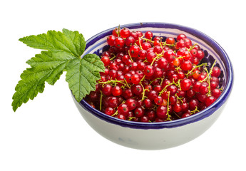Red currant