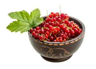 Red currant