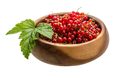 Red currant