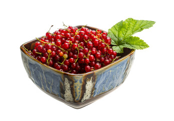 Red currant