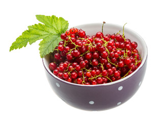 Red currant