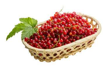 Red currant