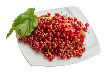 Red currant