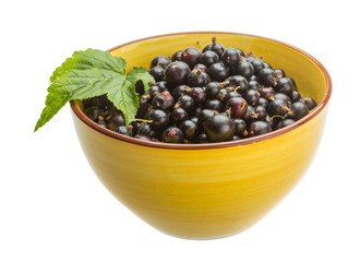 Black currant