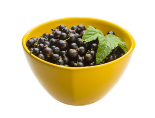 Black currant
