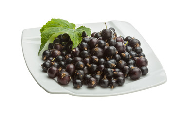 Black currant