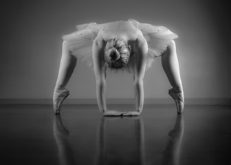 Graceful ballerina warming up in black and white © WavebreakMediaMicro