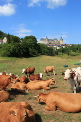 Obraz premium Château de Hautefort.