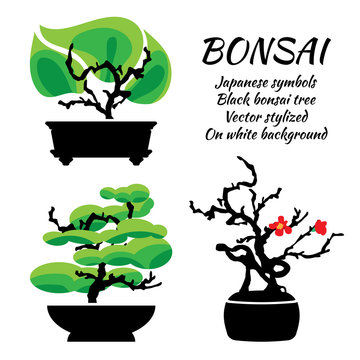 Bonsai, vector set on a white background