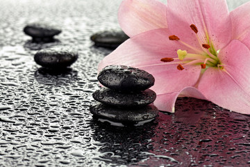 Mokre kamienie bazaltowe z lilią