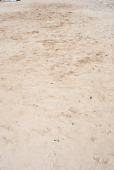 Traces in the Sand