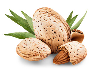 Almond