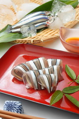 きびなご　小魚　刺身　食材