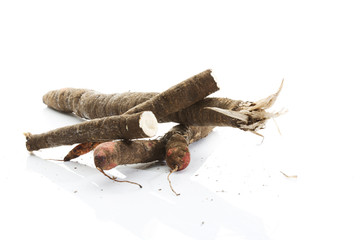 Schwarzwurzeln gegen weisser Hintergrund