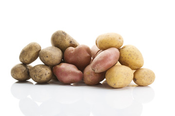 Verschiedene Kartoffel Sorten
