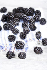 Brombeeren (Rubus sectio Rubus)