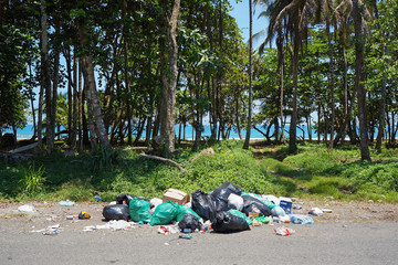 Garbage on path to the beach