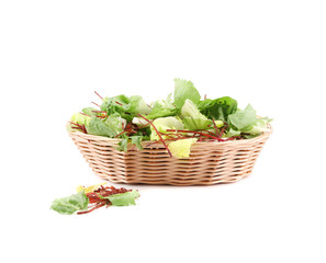 Green lettuce leaves.