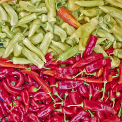 red and green background,  sweet horn peppers closeup