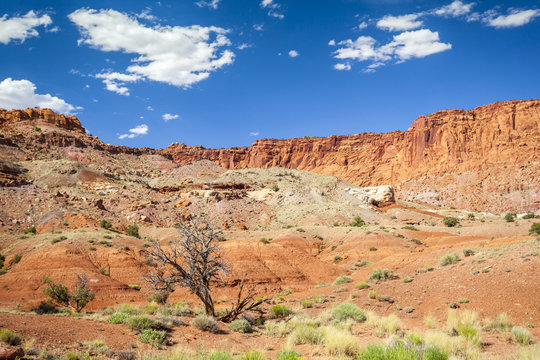 Rock formation in Capitol Reef National Park, USA