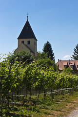 Insel Reichenau - St. Georgskirche in Oberzell 2