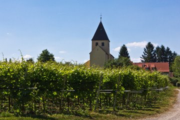 Insel Reichenau - St. Georgskirche in Oberzell 3