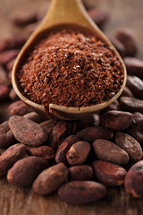 cocoa powder in spoon on roasted cocoa chocolate beans backgroun