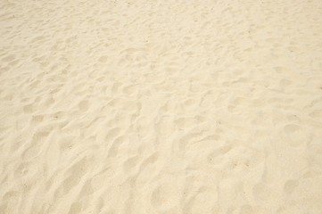 砂浜 テクスチャー