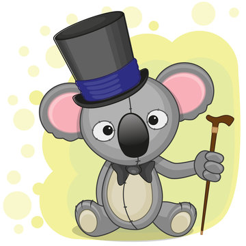 Koala in hat