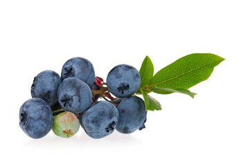 Ripe blueberries