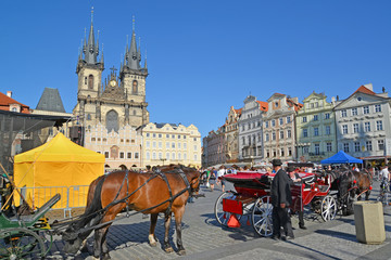 Naklejka na ściany i meble Prague. View of Staromestskaya Square