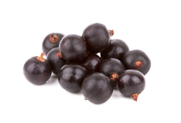 black currant
