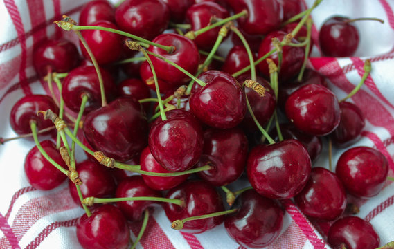 ripe cherries