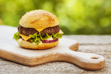 Tasty cheeseburger