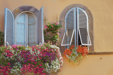 Petunienfenster in Lucca, Toskana