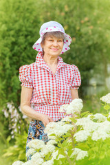 Smiling mature woman stands at bush of white hydrangea