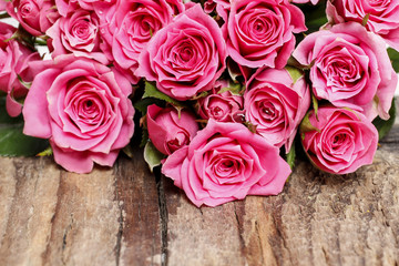 Pink roses on wooden background
