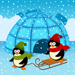 penguin igloo - vector  illustration, eps