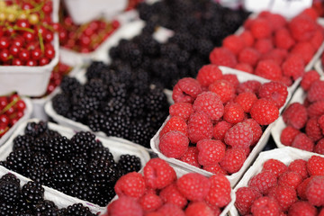 Fresh assorted berries