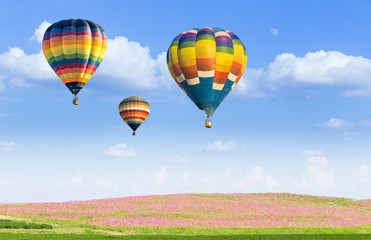 Obraz premium Hot air balloon over flower fields with blue sky background