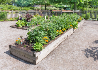 Community Garden with raised beds