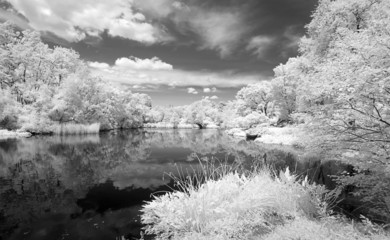 Infrared image of the Central Park